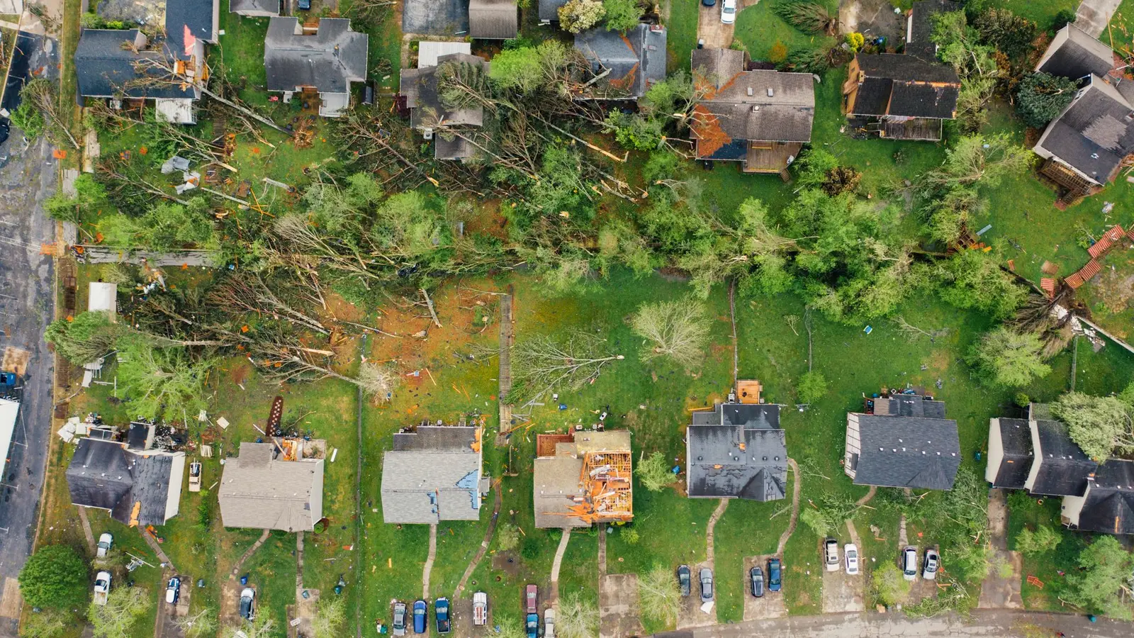 Aerial view of houses and yards with trees knocked down after a storm