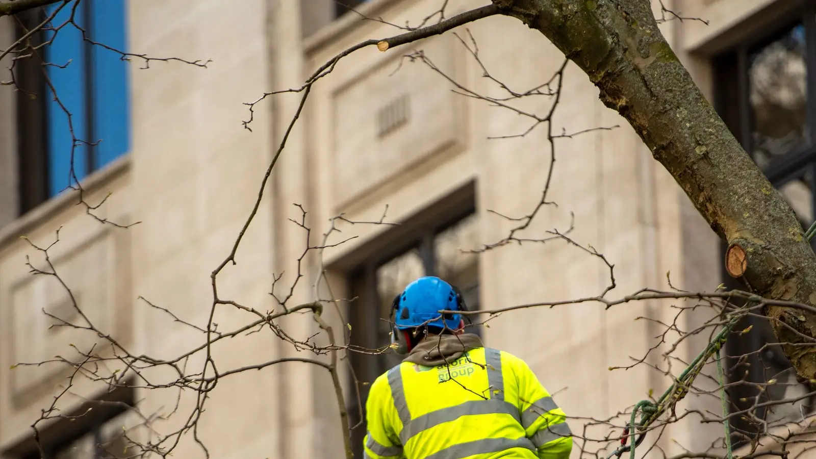 Arborist in a high-visibility jacket working on a limb next to a stone building