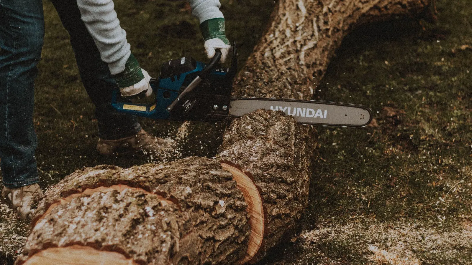 Worker sawing a long curved tree trunk with an electric chainsaw on grass