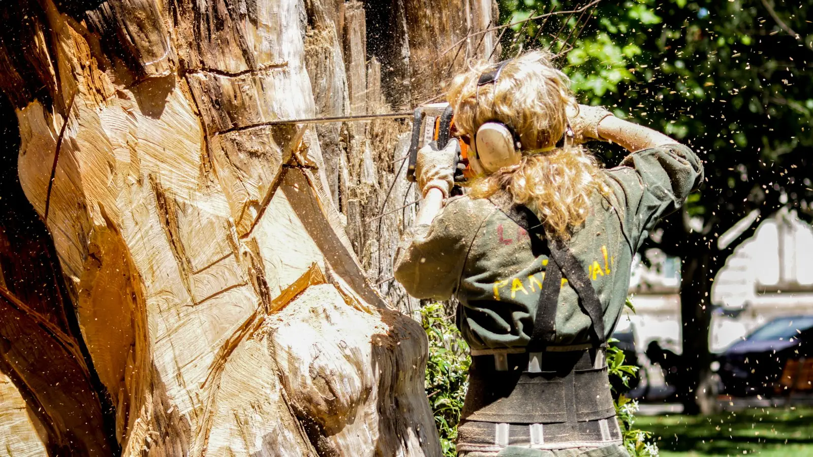 Woman in ear protection cutting into a large tree trunk with a chainsaw